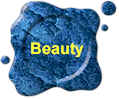 Link button to Beauty's page