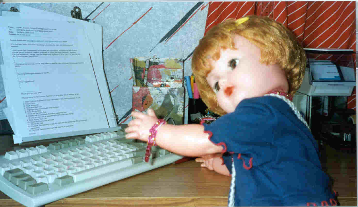 Picture of Jemima using the computer