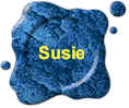 Link to Susie's page